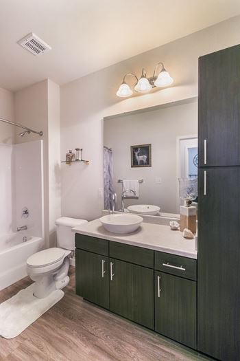 Raised bowl bathroom sinks